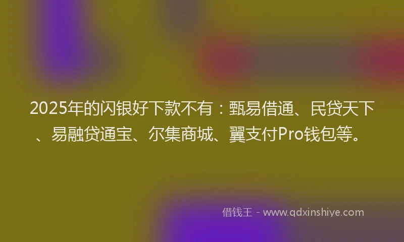 2025年的闪银好下款不有：甄易借通、民贷天下、易融贷通宝、尔集商城、翼支付Pro钱包等。