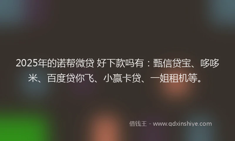 2025年的诺帮微贷 好下款吗有：甄信贷宝、哆哆米、百度贷你飞、小赢卡贷、一姐租机等。
