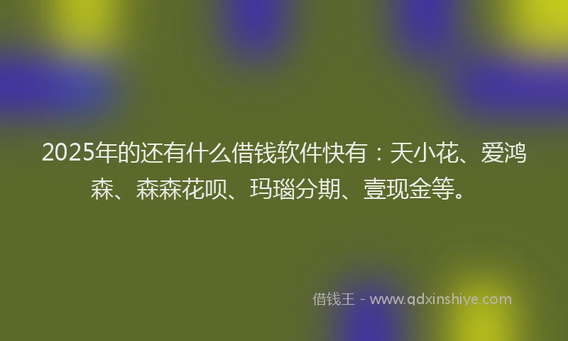 2025年的还有什么借钱软件快有：天小花、爱鸿森、森森花呗、玛瑙分期、壹现金等。