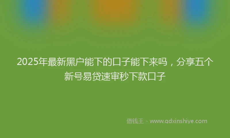 2025年最新黑户能下的口子能下来吗，分享五个新号易贷速审秒下款口子