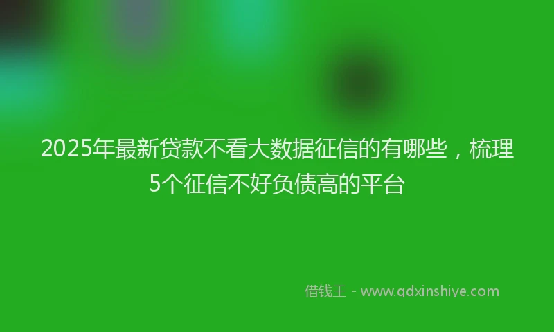 2025年最新贷款不看大数据征信的有哪些，梳理5个征信不好负债高的平台