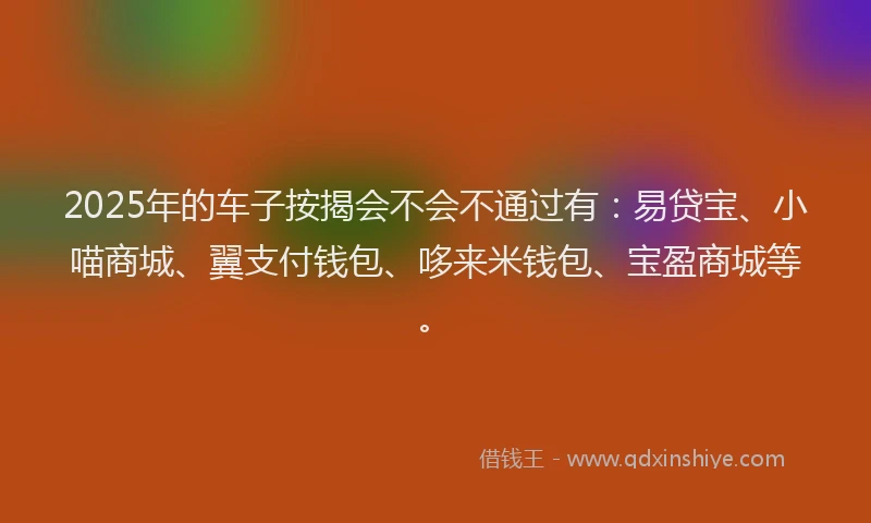 2025年的车子按揭会不会不通过有：易贷宝、小喵商城、翼支付钱包、哆来米钱包、宝盈商城等。