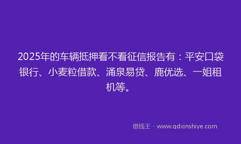 2025年的车辆抵押看不看征信报告有：平安口袋银行、小麦粒借款、涌泉易贷、鹿优选、一姐租机等。
