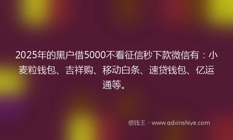 2025年的黑户借5000不看征信秒下款微信有：小麦粒钱包、吉祥购、移动白条、速贷钱包、亿运通等。