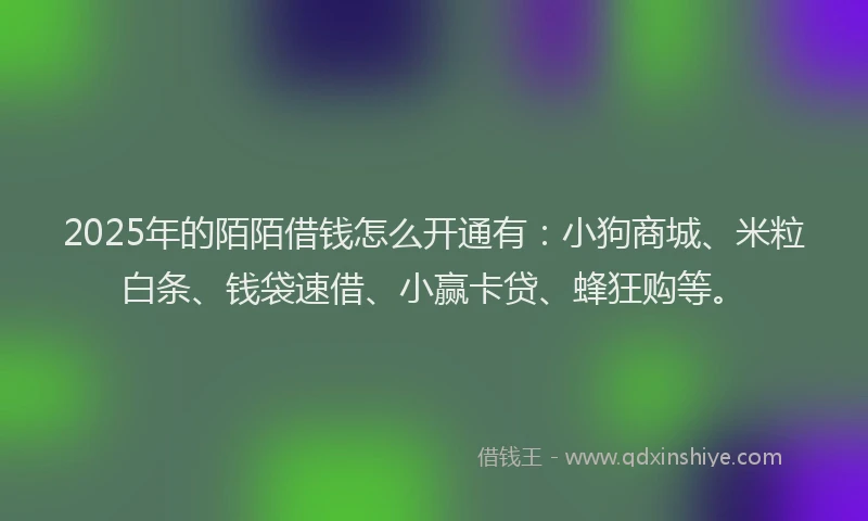2025年的陌陌借钱怎么开通有：小狗商城、米粒白条、钱袋速借、小赢卡贷、蜂狂购等。