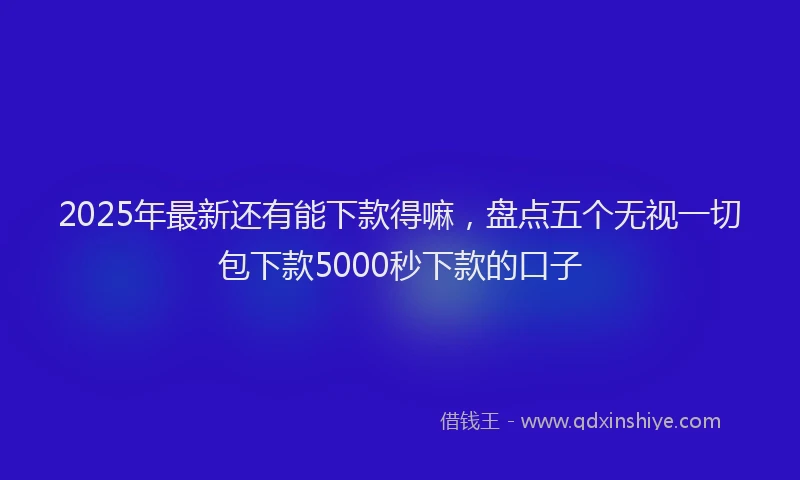 2025年最新还有能下款得嘛，盘点五个无视一切包下款5000秒下款的口子