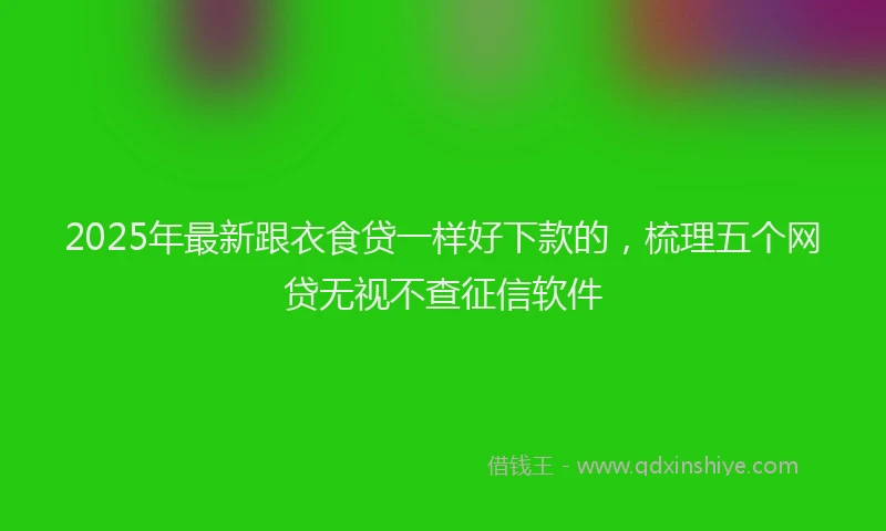 2025年最新跟衣食贷一样好下款的，梳理五个网贷无视不查征信软件