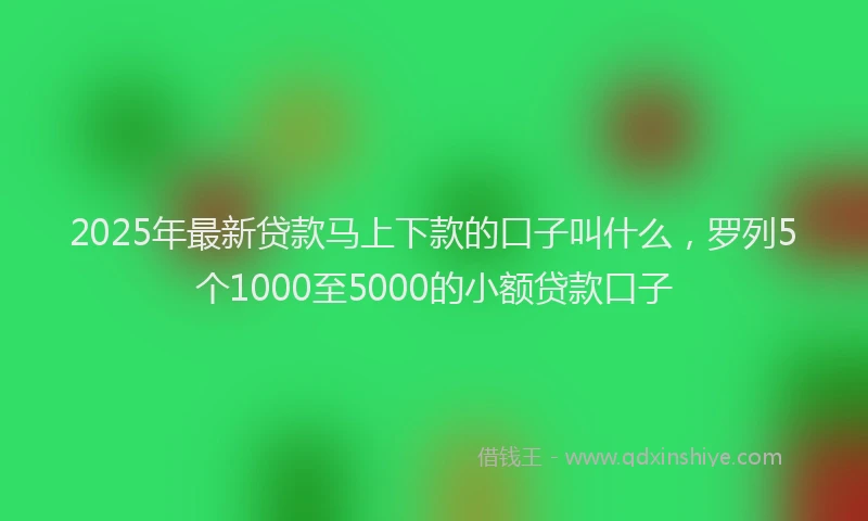 2025年最新贷款马上下款的口子叫什么，罗列5个1000至5000的小额贷款口子