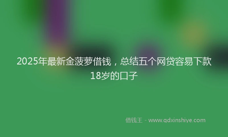 2025年最新金菠萝借钱，总结五个网贷容易下款18岁的口子