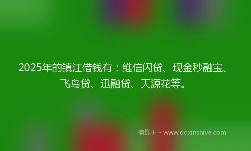 2025年的镇江借钱有：维信闪贷、现金秒融宝、飞鸟贷、迅融贷、天源花等。