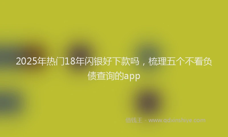 2025年热门18年闪银好下款吗，梳理五个不看负债查询的app