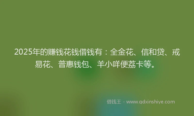 2025年的赚钱花钱借钱有：全金花、信和贷、戒易花、普惠钱包、羊小咩便荔卡等。