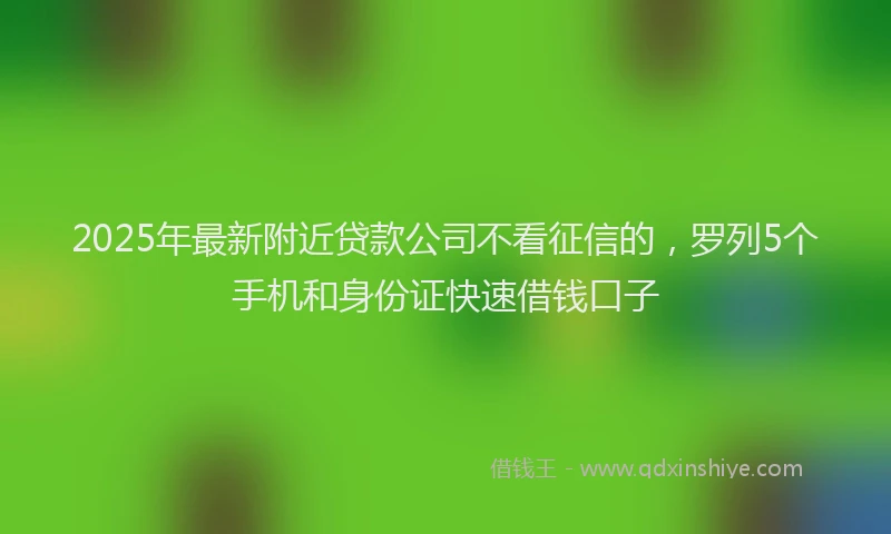 2025年最新附近贷款公司不看征信的，罗列5个手机和身份证快速借钱口子