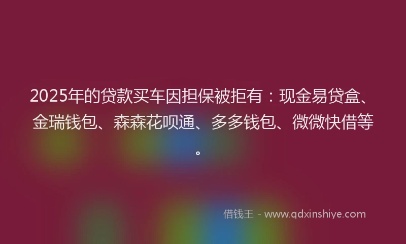 2025年的贷款买车因担保被拒有：现金易贷盒、金瑞钱包、森森花呗通、多多钱包、微微快借等。