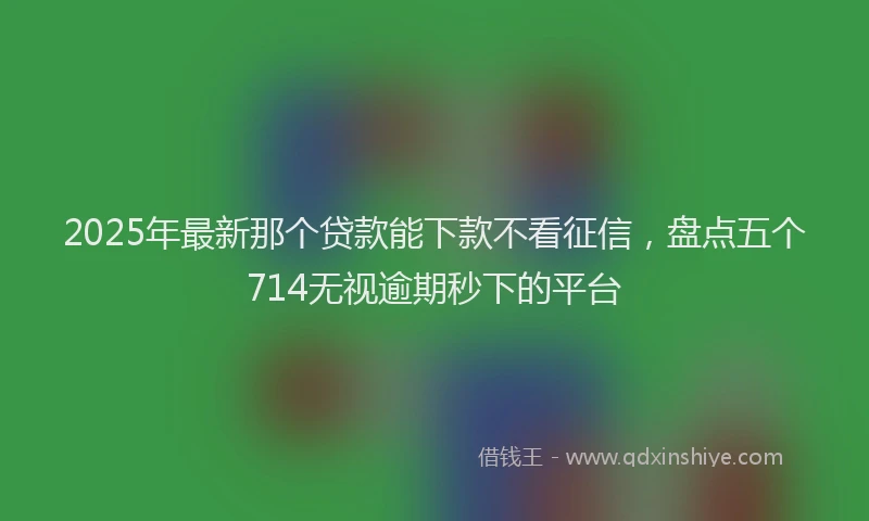 2025年最新那个贷款能下款不看征信，盘点五个714无视逾期秒下的平台