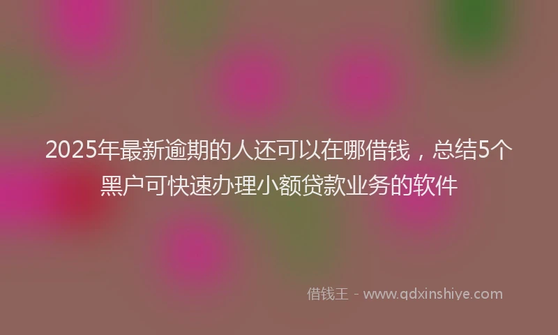 2025年最新逾期的人还可以在哪借钱，总结5个黑户可快速办理小额贷款业务的软件