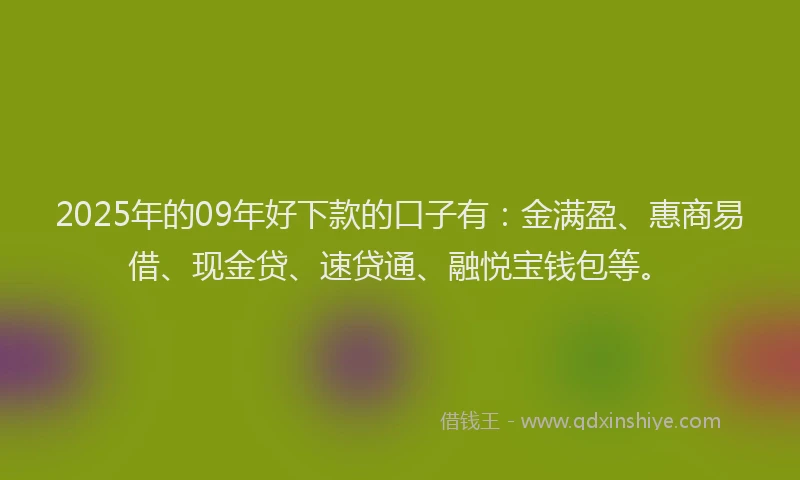 2025年的09年好下款的口子有：金满盈、惠商易借、现金贷、速贷通、融悦宝钱包等。