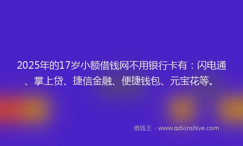 2025年的17岁小额借钱网不用银行卡有：闪电通、掌上贷、捷信金融、便捷钱包、元宝花等。