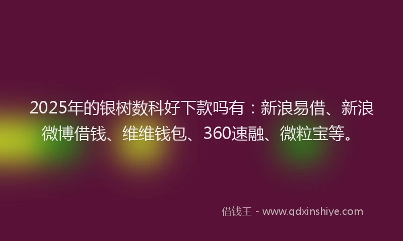 2025年的银树数科好下款吗有：新浪易借、新浪微博借钱、维维钱包、360速融、微粒宝等。