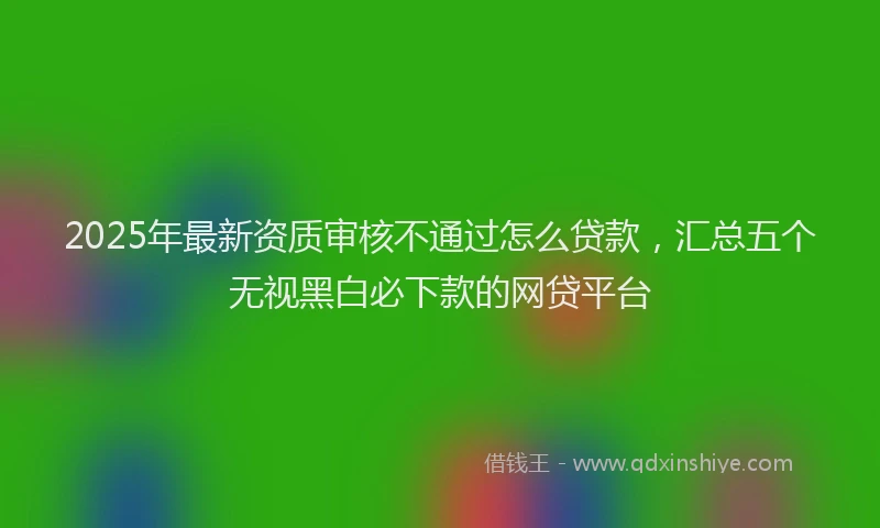 2025年最新资质审核不通过怎么贷款，汇总五个无视黑白必下款的网贷平台