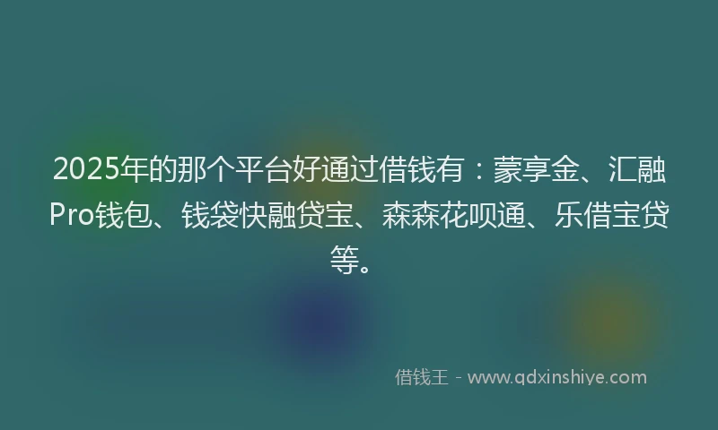 2025年的那个平台好通过借钱有：蒙享金、汇融Pro钱包、钱袋快融贷宝、森森花呗通、乐借宝贷等。