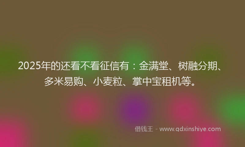 2025年的还看不看征信有：金满堂、树融分期、多米易购、小麦粒、掌中宝租机等。