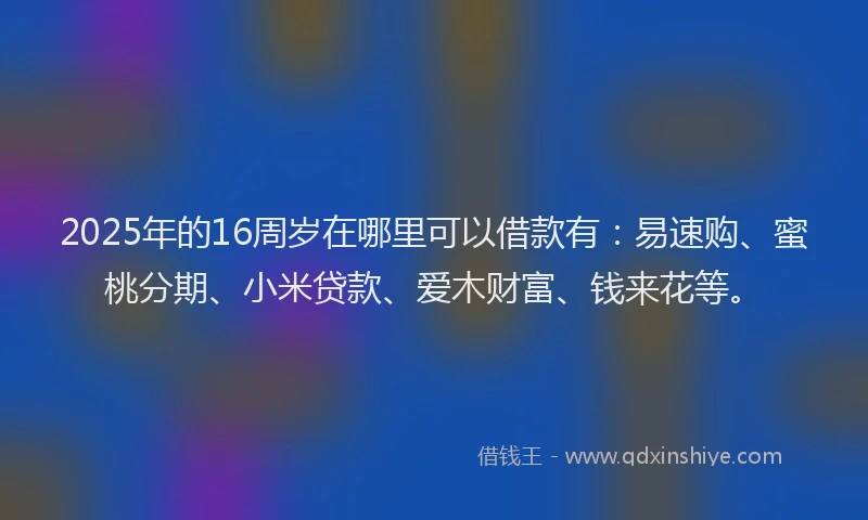 2025年的16周岁在哪里可以借款有：易速购、蜜桃分期、小米贷款、爱木财富、钱来花等。