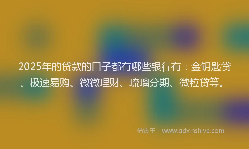 2025年的贷款的口子都有哪些银行有：金钥匙贷、极速易购、微微理财、琉璃分期、微粒贷等。