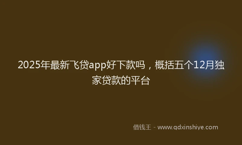 2025年最新飞贷app好下款吗，概括五个12月独家贷款的平台