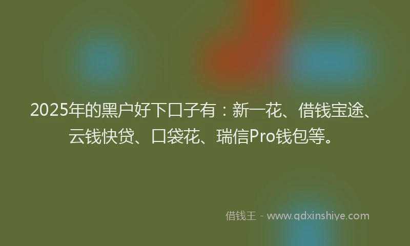 2025年的黑户好下口子有：新一花、借钱宝途、云钱快贷、口袋花、瑞信Pro钱包等。