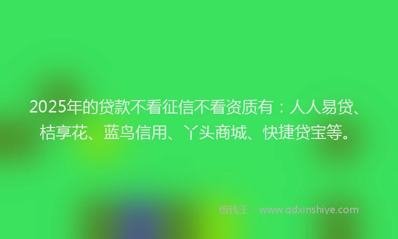 2025年的贷款不看征信不看资质有：人人易贷、桔享花、蓝鸟信用、丫头商城、快捷贷宝等。