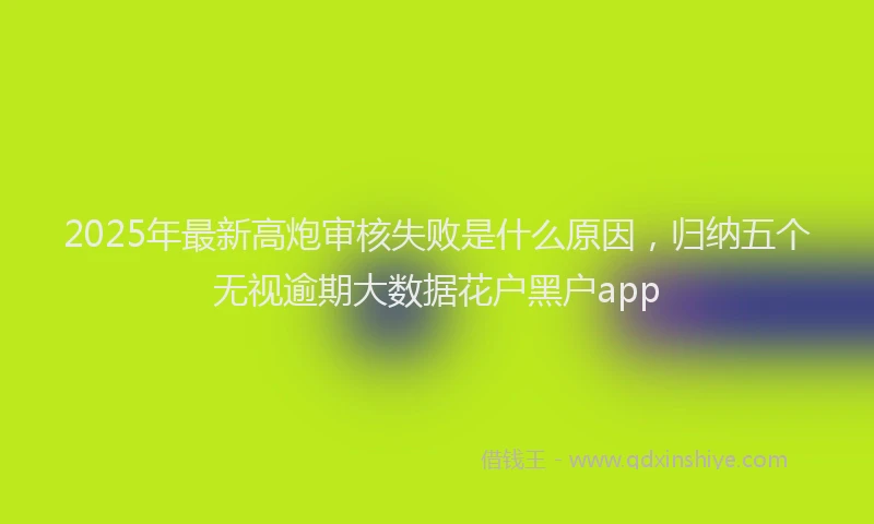 2025年最新高炮审核失败是什么原因，归纳五个无视逾期大数据花户黑户app
