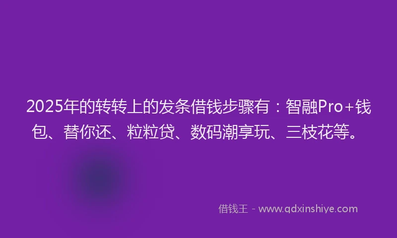 2025年的转转上的发条借钱步骤有：智融Pro+钱包、替你还、粒粒贷、数码潮享玩、三枝花等。