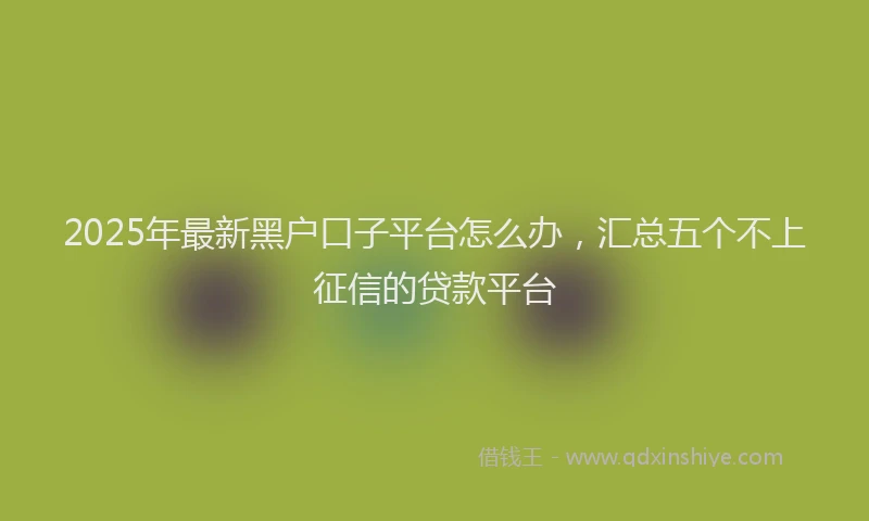 2025年最新黑户口子平台怎么办，汇总五个不上征信的贷款平台