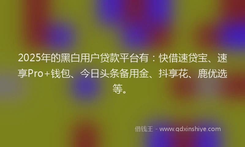 2025年的黑白用户贷款平台有：快借速贷宝、速享Pro+钱包、今日头条备用金、抖享花、鹿优选等。