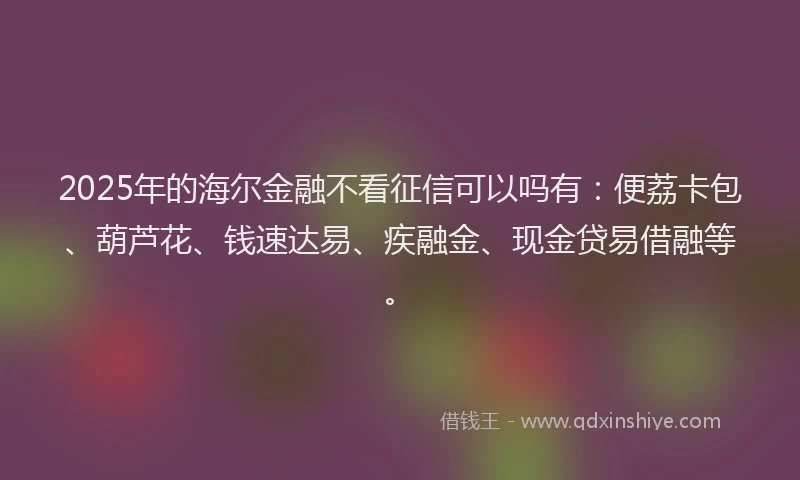 2025年的海尔金融不看征信可以吗有：便荔卡包、葫芦花、钱速达易、疾融金、现金贷易借融等。