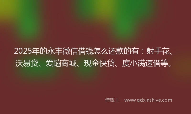 2025年的永丰微信借钱怎么还款的有：射手花、沃易贷、爱蹦商城、现金快贷、度小满速借等。