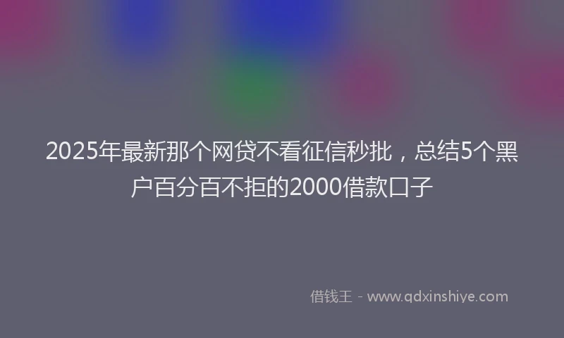 2025年最新那个网贷不看征信秒批，总结5个黑户百分百不拒的2000借款口子