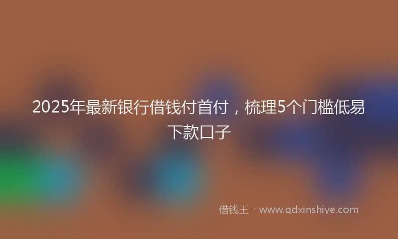 2025年最新银行借钱付首付，梳理5个门槛低易下款口子