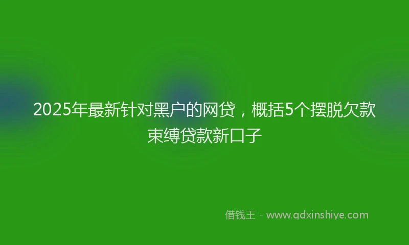 2025年最新针对黑户的网贷，概括5个摆脱欠款束缚贷款新口子