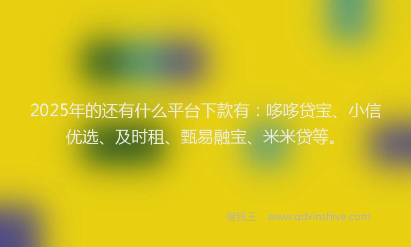 2025年的还有什么平台下款有：哆哆贷宝、小信优选、及时租、甄易融宝、米米贷等。