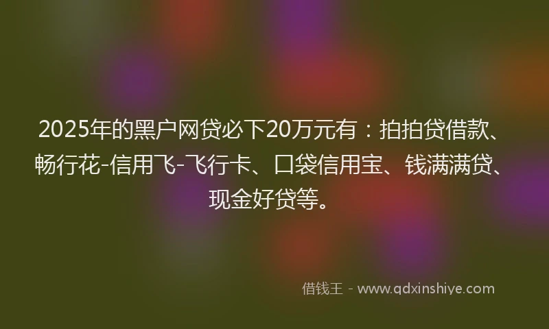 2025年的黑户网贷必下20万元有：拍拍贷借款、畅行花-信用飞-飞行卡、口袋信用宝、钱满满贷、现金好贷等。
