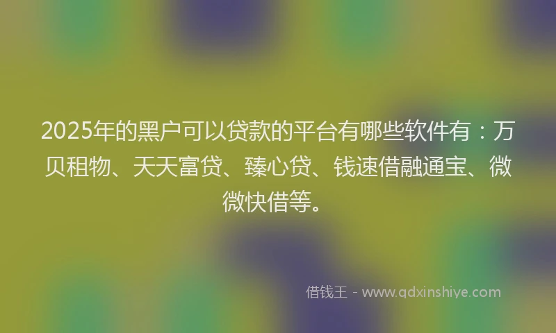 2025年的黑户可以贷款的平台有哪些软件有：万贝租物、天天富贷、臻心贷、钱速借融通宝、微微快借等。