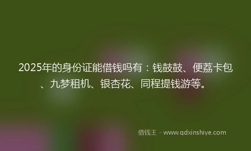 2025年的身份证能借钱吗有：钱鼓鼓、便荔卡包、九梦租机、银杏花、同程提钱游等。