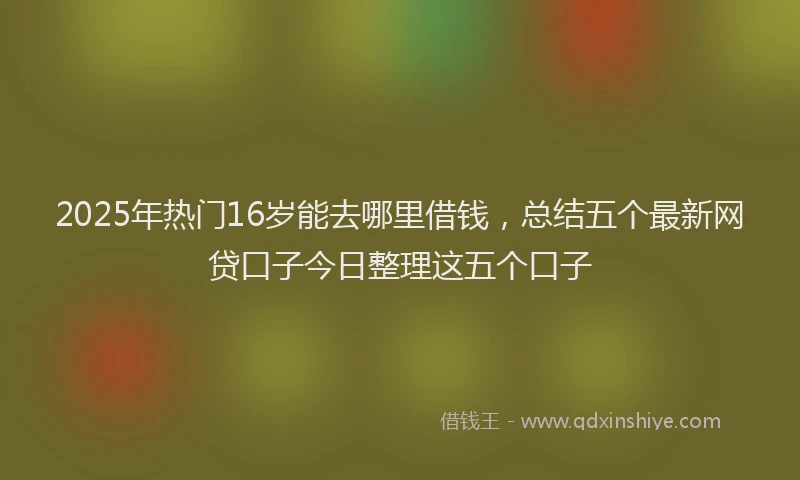 2025年热门16岁能去哪里借钱，总结五个最新网贷口子今日整理这五个口子