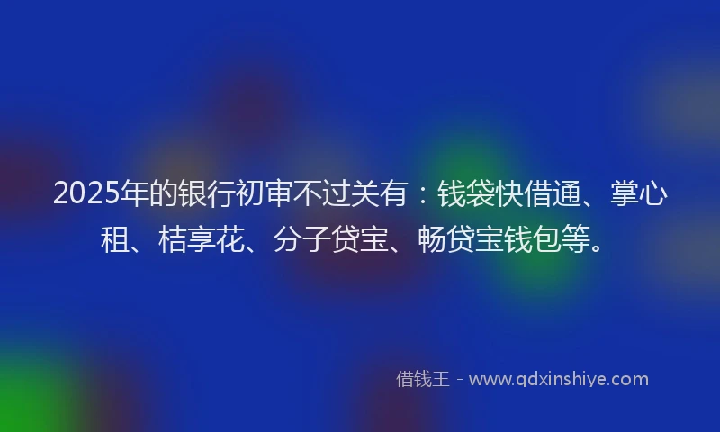 2025年的银行初审不过关有：钱袋快借通、掌心租、桔享花、分子贷宝、畅贷宝钱包等。