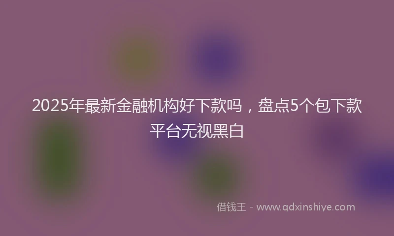 2025年最新金融机构好下款吗，盘点5个包下款平台无视黑白
