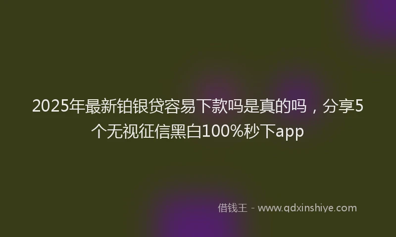 2025年最新铂银贷容易下款吗是真的吗，分享5个无视征信黑白100%秒下app