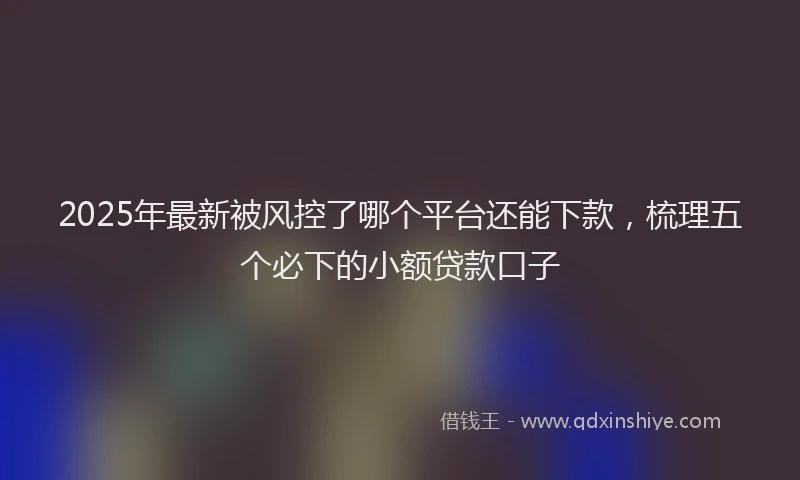 2025年最新被风控了哪个平台还能下款，梳理五个必下的小额贷款口子