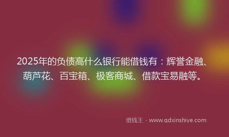 2025年的负债高什么银行能借钱有：辉誉金融、葫芦花、百宝箱、极客商城、借款宝易融等。